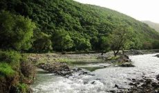 اخذ سند مالکیت برای ۱۷۸ هکتار از اراضی بستر رودخانه‌ها در پیرانشهر