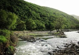 اخذ سند مالکیت برای ۱۷۸ هکتار از اراضی بستر رودخانه‌ها در پیرانشهر