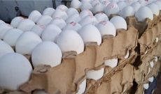 ۳ هزار کارتن تخم مرغ از طریق مرزهای آذربایجان غربی وارد کشور شد