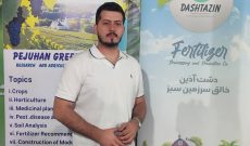استفاده از ظرفیت جوانان مغفول نماند